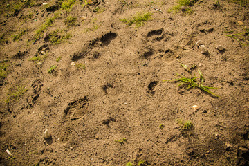 feet prints on a wet sand