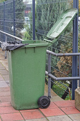 Green wheelie bin