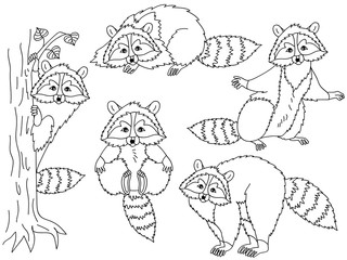 Vector Set of Cute Cartoon Raccoons
