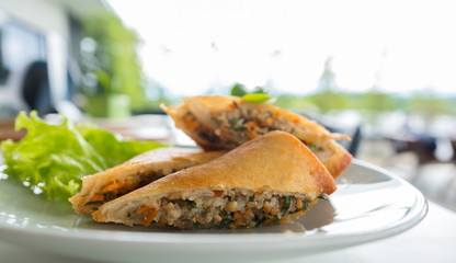 Selective focus of fried spring roll for appetizer