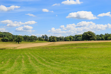 Green Fields