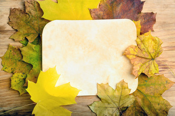 Naklejka na ściany i meble paper page on fall leaves