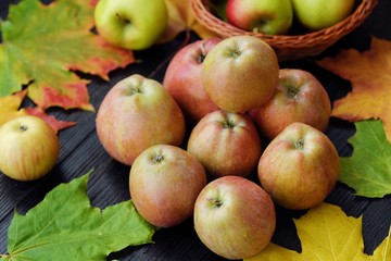 Delicious fresh green apples and autumn leaves 