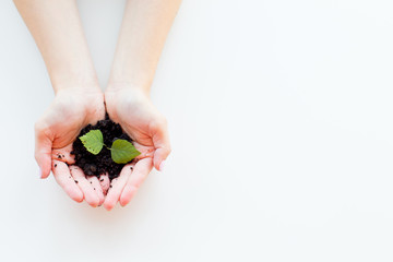 Hands with a plant