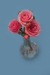 Fresh pink roses in glass vase on a table with copy space.