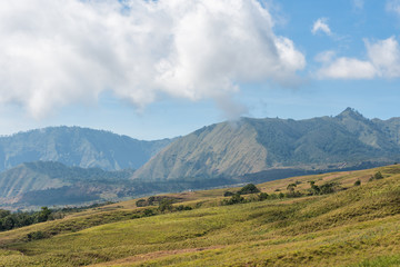 Fototapeta na wymiar Mountain and savannah field with low cloud over hill. Rinjani mountain, Lombok island, Indonesia.