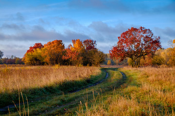 Fototapeta premium The road in autumn