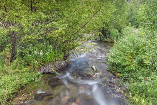 View of soft flowing water at Cascade Springs National Park, American Fork Canyon
