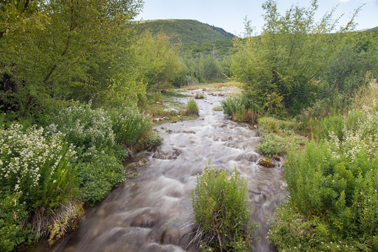 American Fork Canyon with view of soft flowing stream and vibrant green plants
