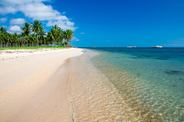 beach and tropical sea