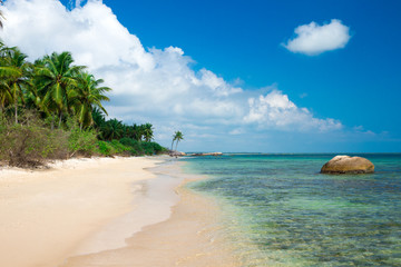 beach and tropical sea