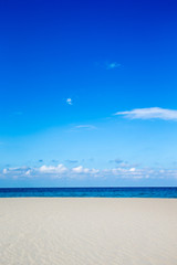 Fototapeta premium beach and tropical sea