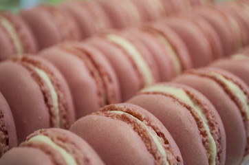 strawberry macaron