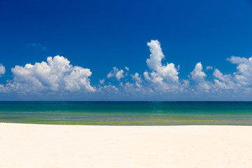 beach and tropical sea