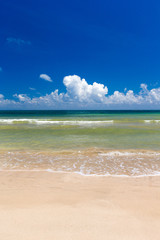 beach and tropical sea