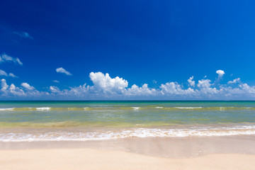 beach and tropical sea