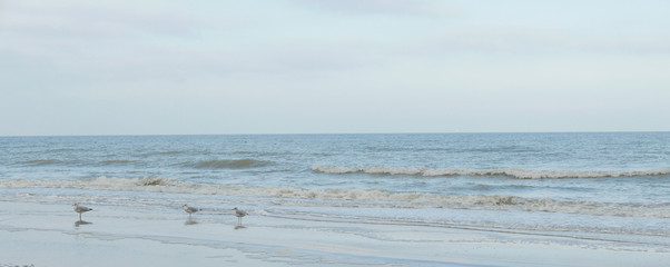 The beach in Belgium