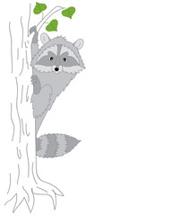 Vector Cute Raccoon Sitting on the Tree