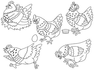 Vector Set of Hens, Chickens and Eggs