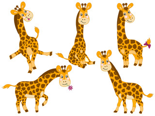 Obraz premium Vector Set of Cute Cartoon Giraffes