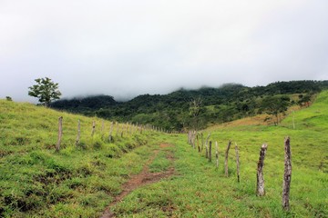 Fototapeta premium road between two farm fields in Venezuela