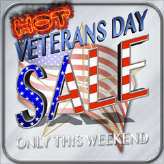 Veterans Day Hot Sale, 3D Illustration, Honoring all who served, American holiday template.