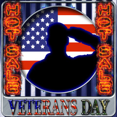 Veterans Day Hot Sale, 3D Illustration, Honoring all who served, American holiday template.
