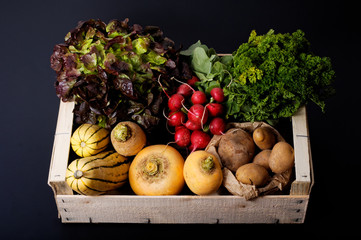 Organic food concept assortment vegetables in wood crate potatoes, Delicata Squash, yellow turnip,...