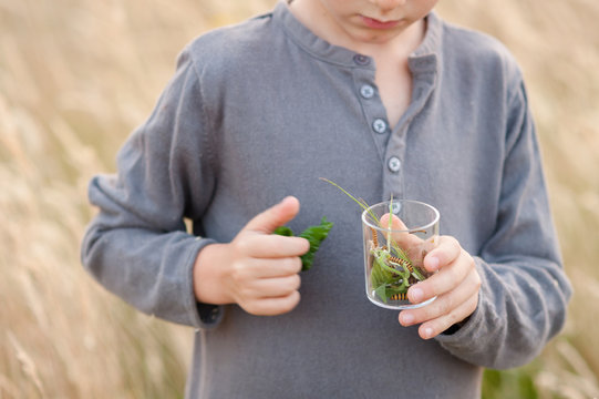 Close up of child holding jar of caterpillars