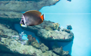 Moscow Aquarium
