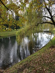 Park jesienią © michalsen