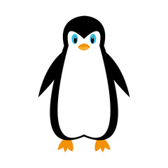 cartoon penguin on white background