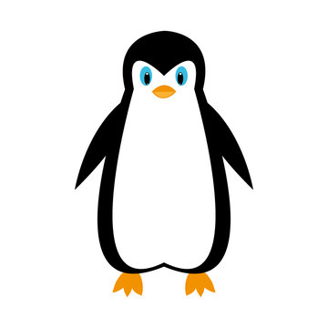 cartoon penguin on white background
