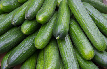Pile of cucumbers as a background
