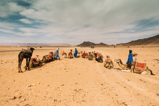 Caravan in spacious desert