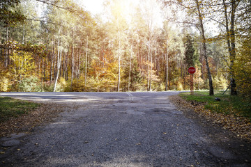 autumn road 