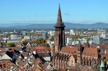 Blick aufs Freiburger Münster