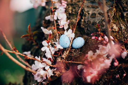 Two Easter eggs in a tree