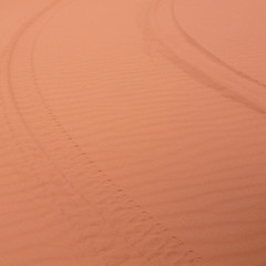Ubari Desert, Libya - May 04, 2002 : Car wheels prints in the sand