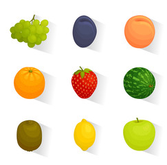 Set of web icons of fruits. Collection of elements for web design. Vector illustration.