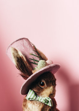 Mr Easter bunny