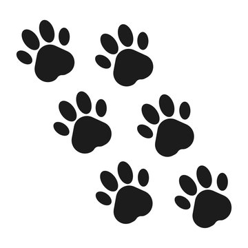 Paw prints. Animal paw print flat icon. Vector illustration