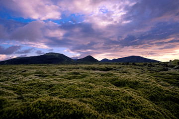 Icelandic landscape 6