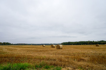 Landscape with straw bales