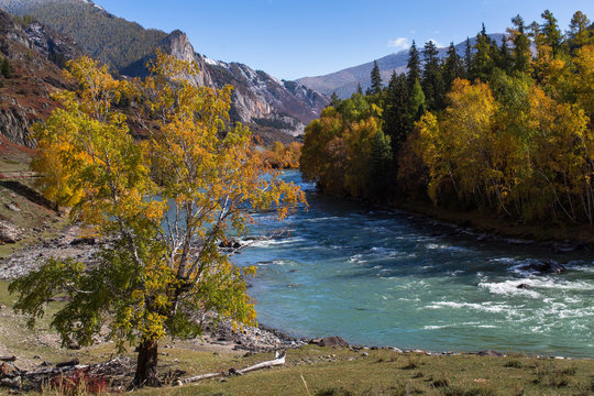 View of Katun River, Altai Republic, Russia.