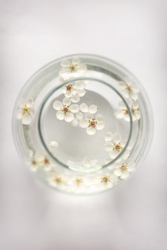 White pear blossoms floating in bowl