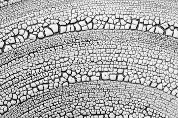 closeup macro macrophotograph black-and-white patterns textures ceramic bowl