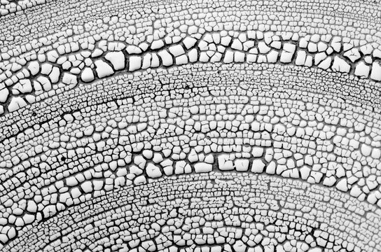closeup macro macrophotograph black-and-white patterns textures ceramic bowl