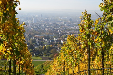 Obraz premium Blick vom Wartberg auf Heilbronn im Herbst mit Weinlaub