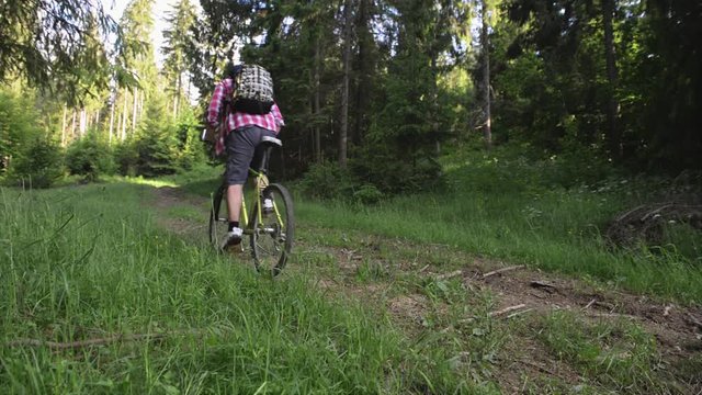 Man riding a mountain bike in the forest.